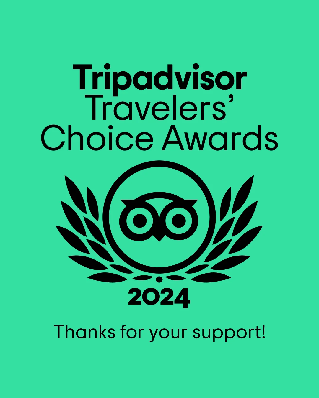 Trip Advisor Traveler's Choice Award 2024