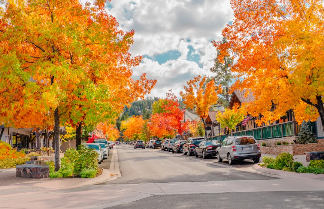 main street lined with trees with orange colored leaves