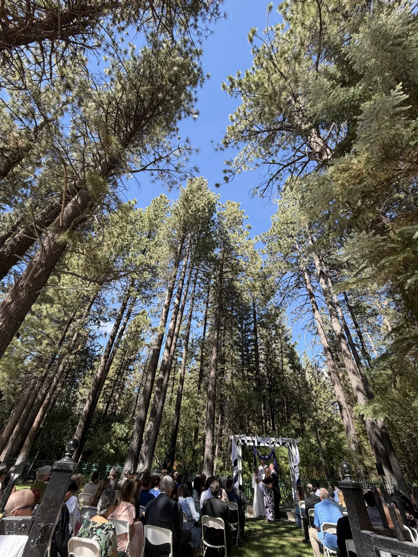 Outdoor pergola wedding ceremony under the pines at Chateau Big Bear, Big Bear Lake CA