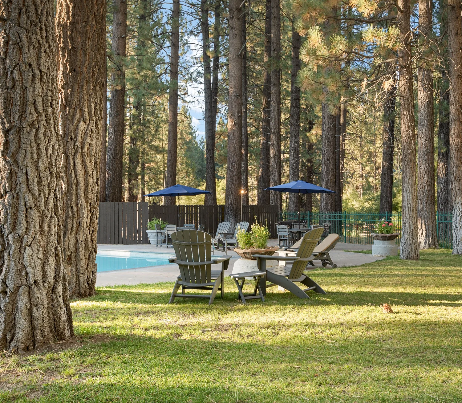 Chateau Big Bear outdoor seating and trees